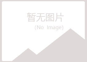 福海县夏岚舞蹈有限公司